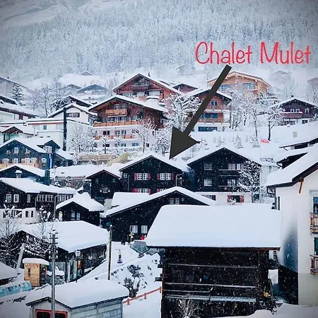 Luxury & Cosy 3.5 In Almost 300 Years Old Leukerbad