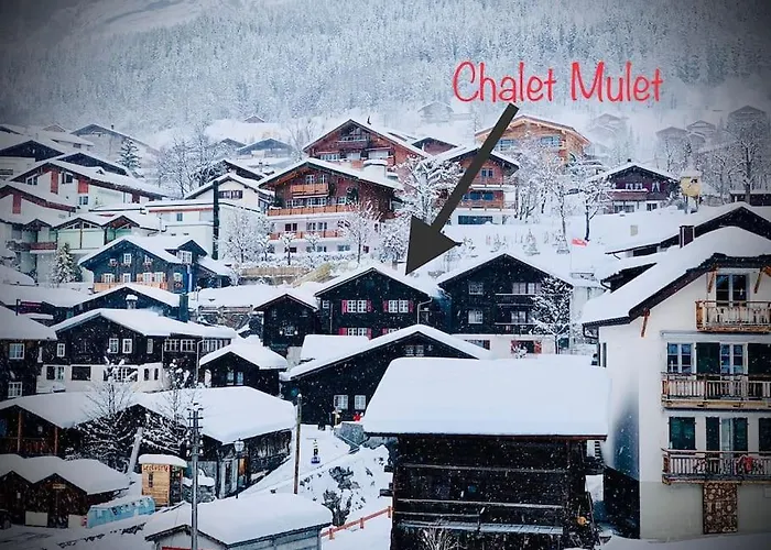 Luxury & Cosy 3.5 In Almost 300 Years Old Loèche-les-Bains